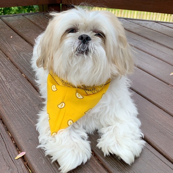 MEET YOUR POSHER | SD&F - Picture 5 of 5